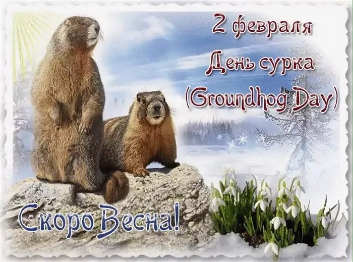 День сурка - скоро весна