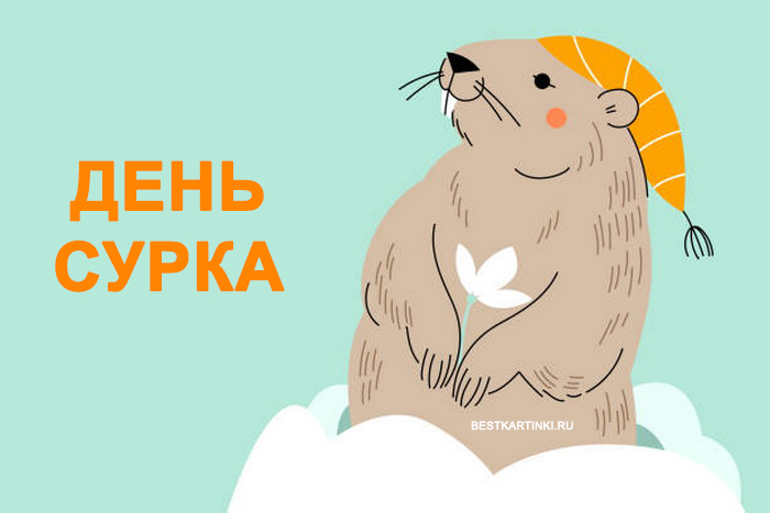 День сурка