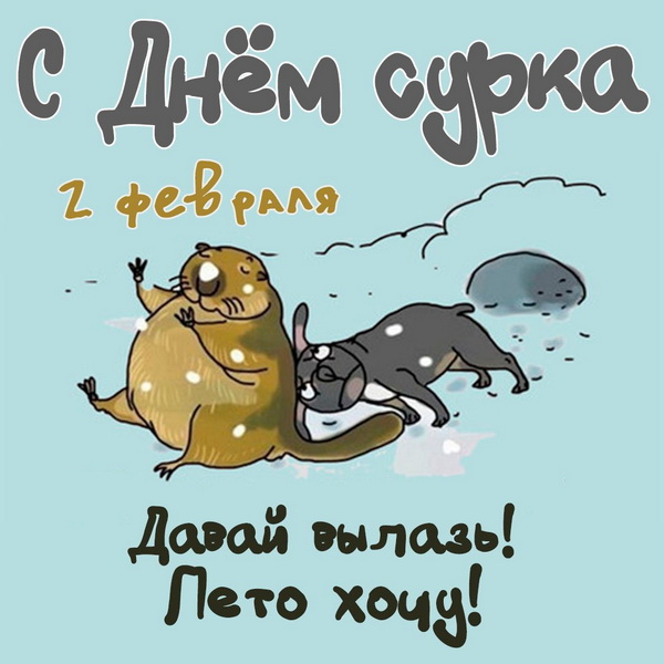 Картинка День сурка - 2 февраля