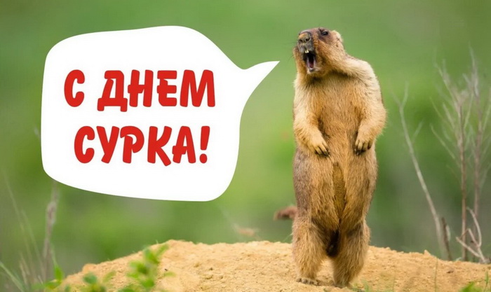 Картинка на День сурка
