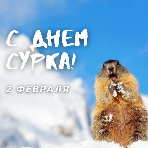 Картинка с Днем сурка 2 февраля