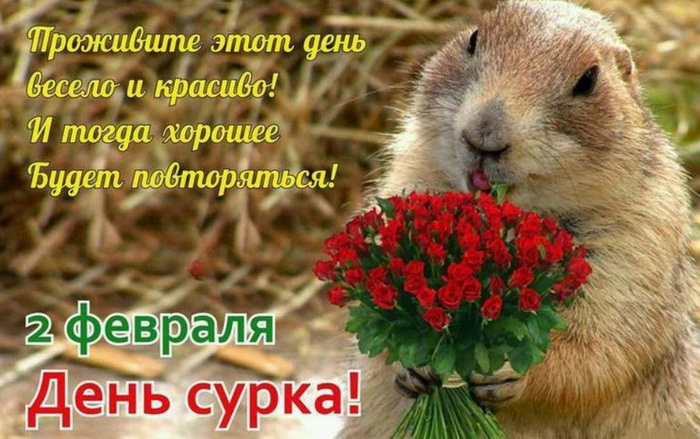 Поздравительная картинка на День сурка