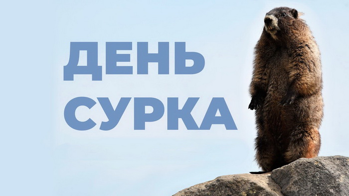 Сегодня День сурка