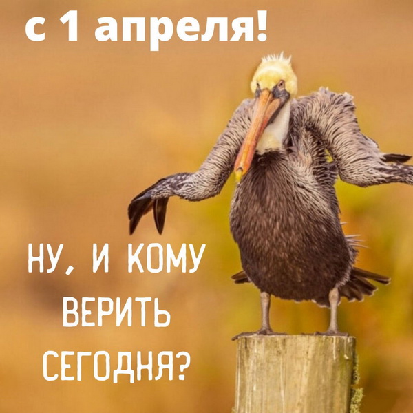 Прикольная картинка с 1 апреля