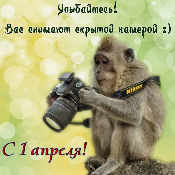С 1 апреля - улыбайтесь