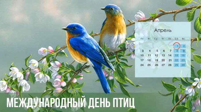 Открытка Международный день птиц