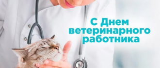 С праздником - Днем ветеринарного работника