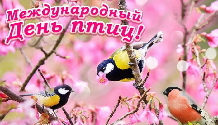 Сегодня Международный день птиц